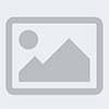 Your profile image